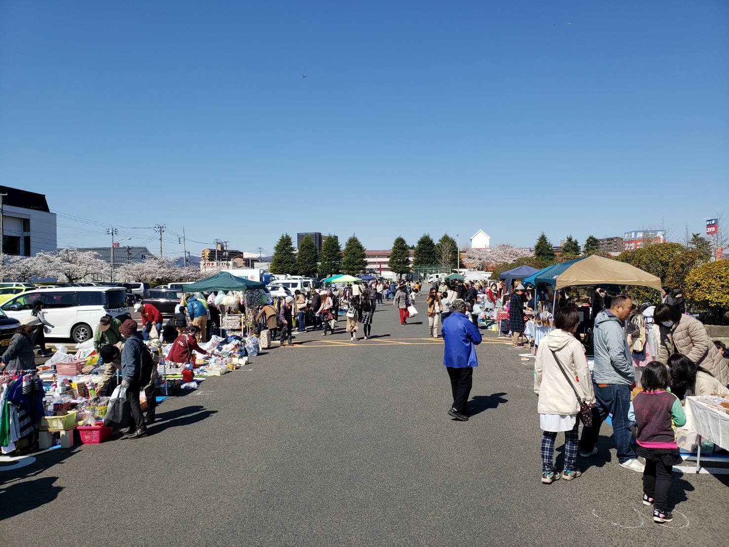 地域密着事業